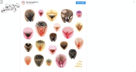 instagram pussy|The Vulva Gallery (@the.vulva.gallery)